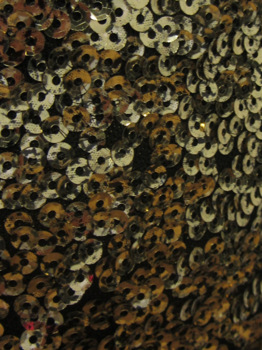 Close up of the gold sequined shorts.